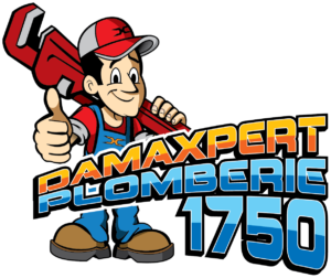 Logo de Damaxpert